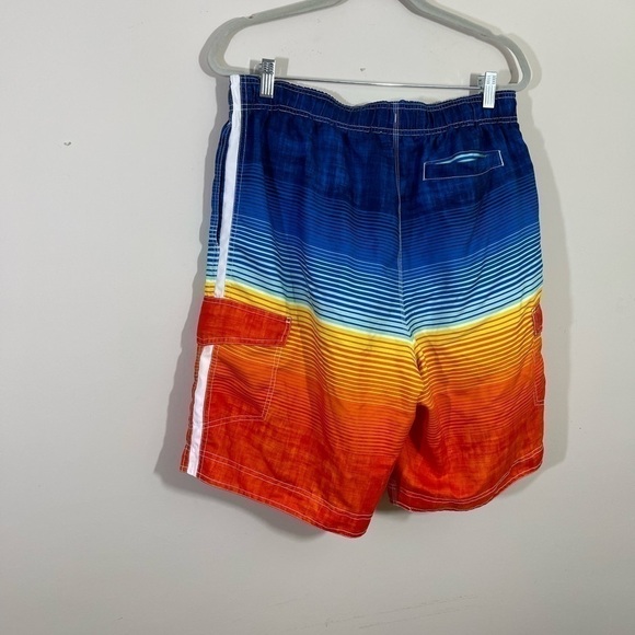 Wave Zone sz lg mens swimsuit  multicolored with the liner - Picture 9 of 11